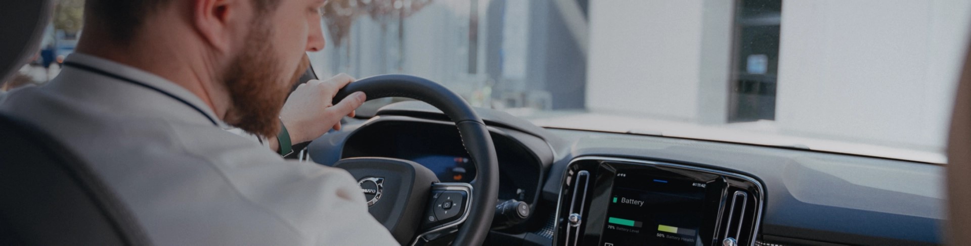 Voltfang - Overview image - Lemberg Solutions.jpg