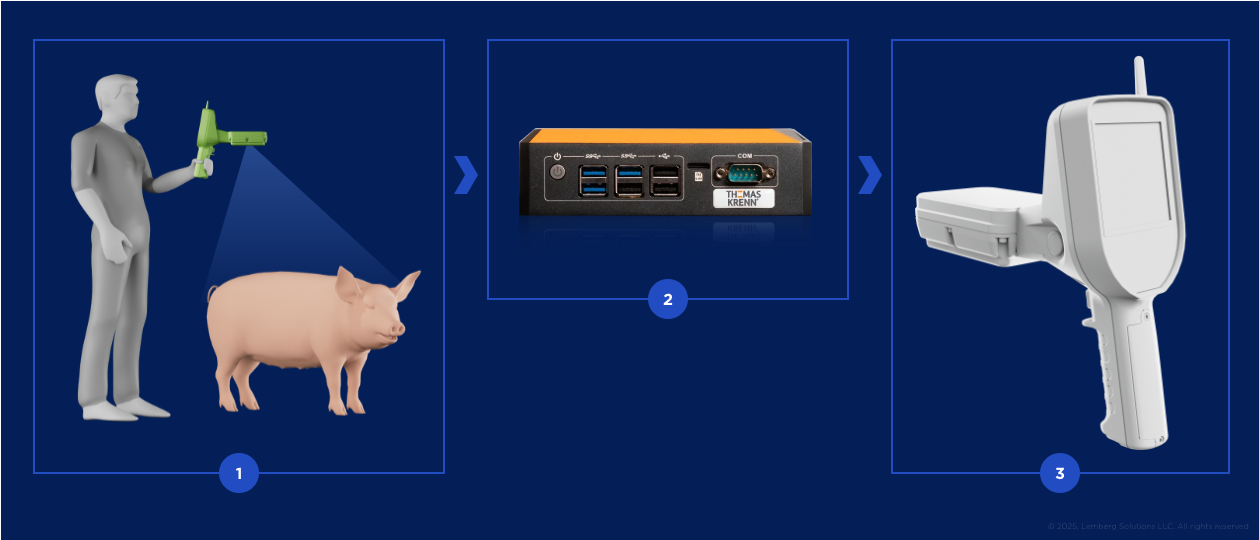 TCC - Scheme - Lemberg Solutions.svg